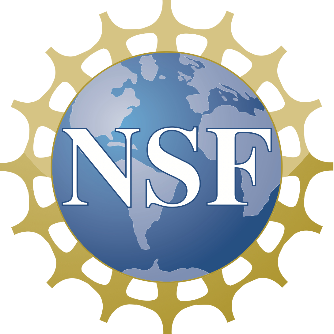 Logo - NSF